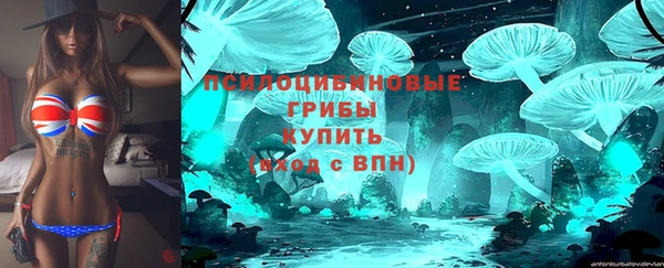 тгк Сатка