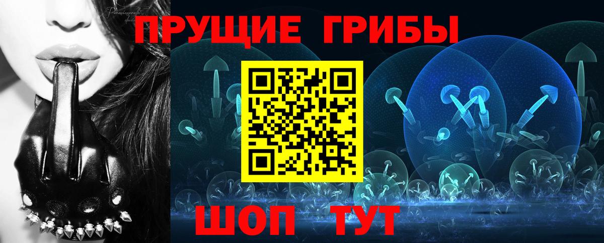 Галлюциногенные грибы Cubensis Лениногорск